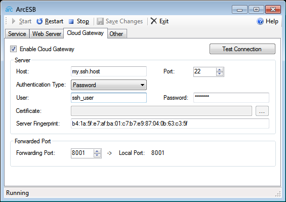 Configuring the Connection to the SSH Host.